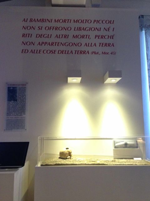 photo 1-2m.jpg